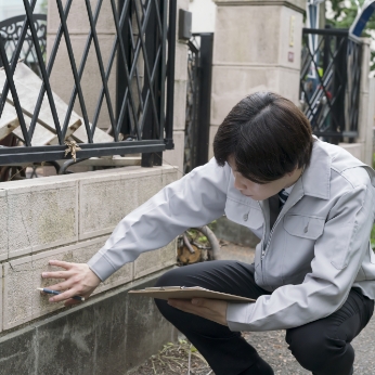 診断・現地調査